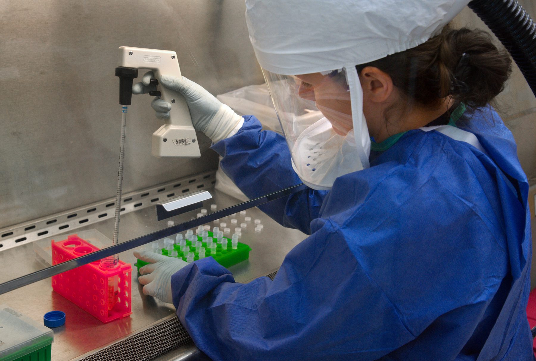 Scientist working inside a biosafety cabinet